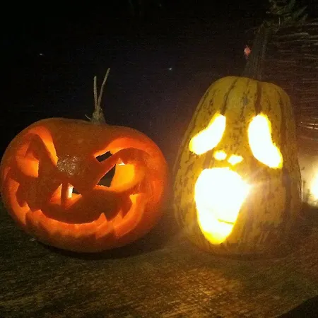 Am Waldesrand Mit Und Ohne Garten Knusperhäuschen, Teufelsloch, Walpurgishütte, Brockenhütte Ferienhaus