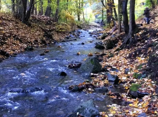 Am Waldesrand Mit Und Ohne Garten Knusperhäuschen, Teufelsloch, Walpurgishütte, Brockenhütte * Wernigerode
