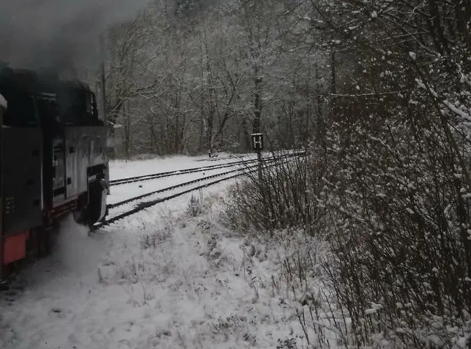 Ferienhaus Am Waldesrand Mit Und Ohne Garten Knusperhäuschen, Teufelsloch, Walpurgishütte, Brockenhütte *